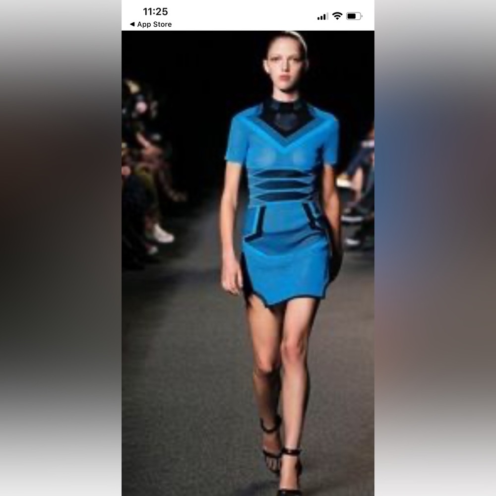 Alexander wang mesh mini dress